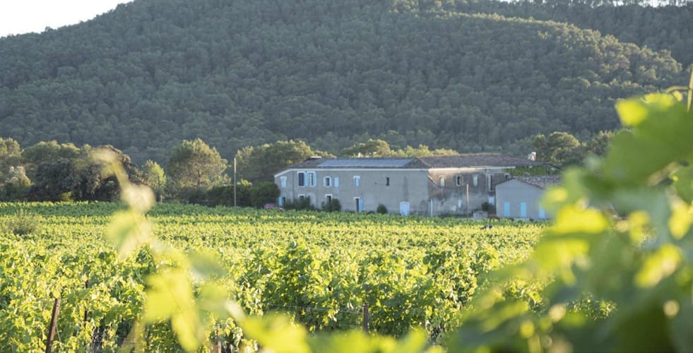 Vigneron Mas Costeplane